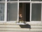 20130703-002 - а мне гулять, а мне гулять, а мне ГУЛЯТЬ ОХОТА!